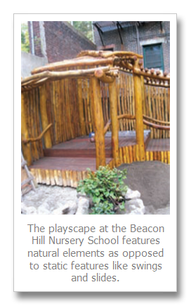 Natural playscape opens at Beacon Hill Nursery School