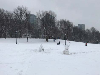 A Winter Wonderland